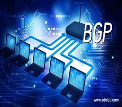 高防服務(wù)器租用線路的選擇-BGP高防服務(wù)器-嘉興BGP-全網(wǎng)互通性