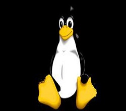 怎樣讓Linux自動(dòng)重啟服務(wù)？宇眾網(wǎng)絡(luò)國(guó)內(nèi)高防服務(wù)器