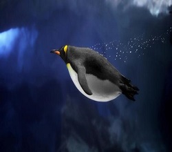 Linux cannot remove is a directory 解決辦法-宇眾網(wǎng)絡(luò)Linux服務(wù)器